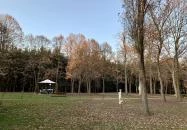 Zsuzsanna Kúria Feldebrő