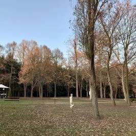 Zsuzsanna Kúria Feldebrő - Egyéb