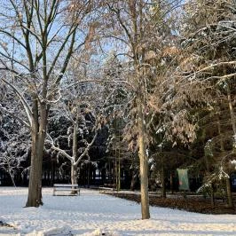 Zsuzsanna Kúria Feldebrő - Egyéb