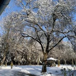 Zsuzsanna Kúria Feldebrő - Egyéb