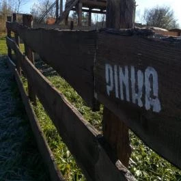 Pinka Smoke Felsőcsatár - Egyéb
