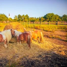Pinka Smoke Felsőcsatár - Külső kép