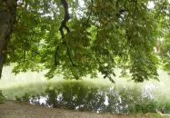 Felsőtárkány - Felsőtárkányi-tó