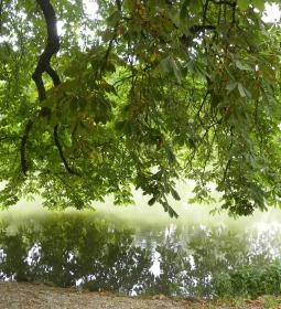 Felsőtárkányi-tó