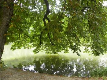 Felsőtárkányi-tó Felsőtárkány