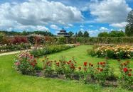 Fertőd - Cziráky Margit Rózsakert