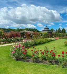 Cziráky Margit Rózsakert