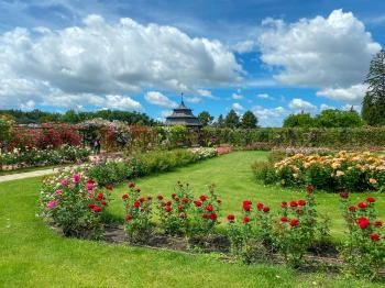 Cziráky Margit Rózsakert Fertőd