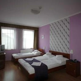 Patonai Panzió Fertőd - Egyéb