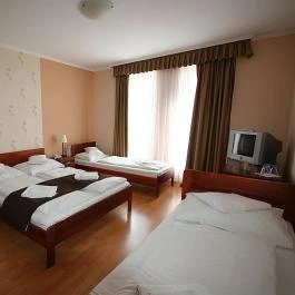 Patonai Panzió Fertőd - Egyéb