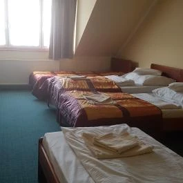 Patonai Panzió Fertőd - Egyéb