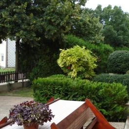 Ujvári Panzió Fertőd - Medence/kert