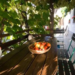 Várfal Vendégház Fertőrákos - Külső kép