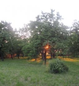 Zöldkapus Vendégház