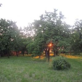 Zöldkapus Vendégház Fony - Medence/kert