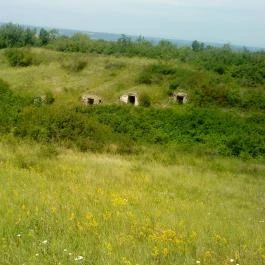 Zöldkapus Vendégház Fony - Környék