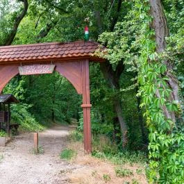 Sipos-hegyi parkerdő Fonyód - Egyéb