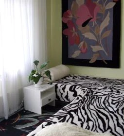 Fonyódi fűtött medencés Apartman