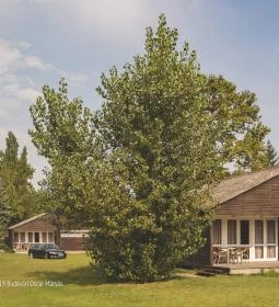 Napsugár Kemping és Panzió