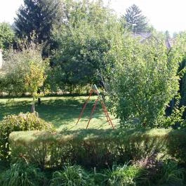 Rózsa Nyaralóház Fonyód - Egyéb