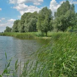 Kígyós Csárda Fülöpszállás - Egyéb