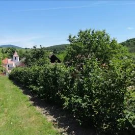 Zempléni Tündérkert Vendégház Füzérkomlós - Medence/kert