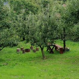 Zempléni Tündérkert Vendégház Füzérkomlós - Medence/kert