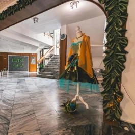 Hotel Gara Gyógy- és Wellness Szálloda Füzesgyarmat - Egyéb