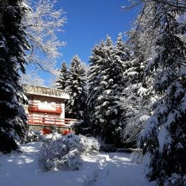 Galya Vendégház Galyatető - Egyéb