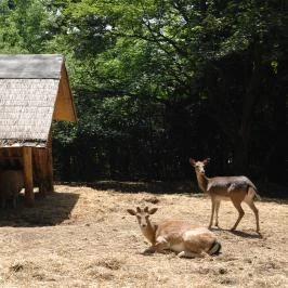 Grandhotel Galya Galyatető - Szórakozás/Sport