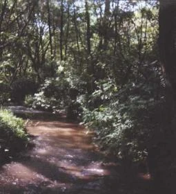 Gádoros Vendégház