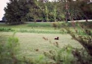 Hotel Villa Natura Garabonc