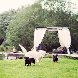 Hotel Villa Natura Garabonc - Medence/kert