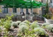 Erzsébet Királyné Szálloda Étterem és Kávéház Gödöllő