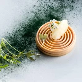 Solier Étterem Gödöllő - Egyéb