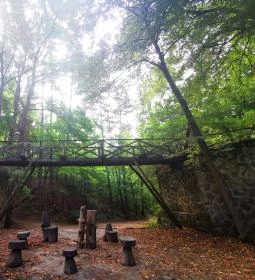 5. legjobb látnivaló: Gödöllői Arbo-park