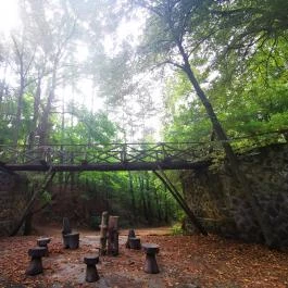 Gödöllői Arbo-park Gödöllő - Egyéb