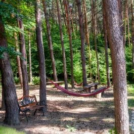 Gosztola Gyöngye-az erdő szállodája Gosztola - Egyéb