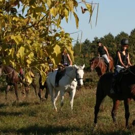 Kabala Lovaspanzió Gutorfölde - Egyéb