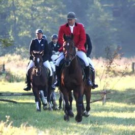 Kabala Lovaspanzió Gutorfölde - Egyéb