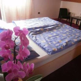 Kardos Apartman Gyenesdiás - Szobák