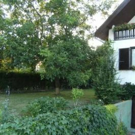 Kardos Apartman Gyenesdiás - Medence/kert