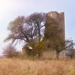 Nagykeszi Templomrom Gyepükaján - Egyéb