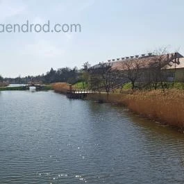 Casa Lyna Vendégház Gyomaendrőd - Egyéb