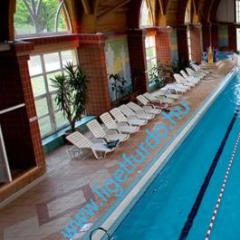 Casa Lyna Vendégház Gyomaendrőd - Egyéb