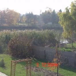 Vendégudvar Apartmanok Gyomaendrőd - Környék