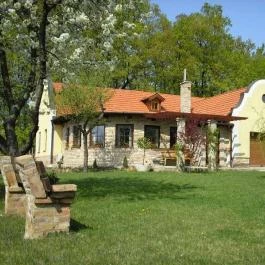 Katalin Kúria Gyömrő - Medence/kert