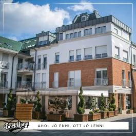 Bori Mami Gyöngyös - Egyéb