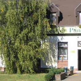 Vincellér Panzió étterme Gyöngyös - Egyéb