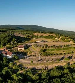 6. legjobb látnivaló: Oxygen Adrenalin Park